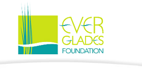 Everglades Foundation